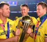 David warners apologizes to indians after winning world cup heres why