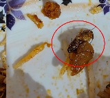 Beware of Grand Hotel Dead cockroach in Biryani