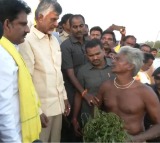 Chandrababu announces Rs 2 lakhs for a farmers who lost crop due to cyclone