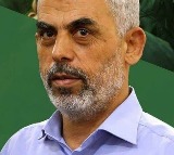 IDF searching for Hamas leader Yahya Sinwar in Gaza's Khan Younis
