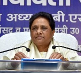 No tickets on sale – BSP will field its cadres in polls