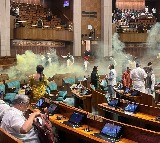 Two protesters carrying colour smoke flare detained outside Parliament