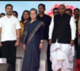 Sonia Gandhi invited to contest for Lok Sabha from Telangana