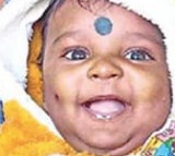 Five-month-old baby dies in attack by stray dogs in Hyderabad