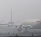 Flight, train operations hit as dense fog blankets Delhi, AQI remains 'severe'