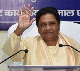 If Mayawati is projected as PM candidate, BSP can join INDIA bloc: MP