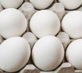 Chicken eggs price rise in Telangana 