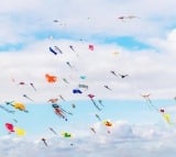 TSSPDCL suggestion to kite flyiers