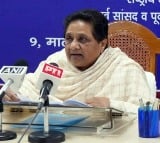 No alliance with INDIA or NDA for 2024 LS polls, says Mayawati