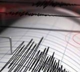 6.5 magnitude quake rocks Brazil
