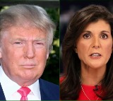 New Hampshire all set for crucial battle between Trump, Haley for the primary vote