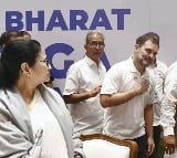 Rahul Says Adhir Jab On Bengal CM Wont Matter