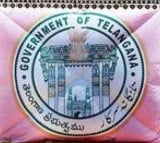 Mahender Reddy appointed as tspsc chairman