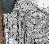 Kashmir plains receive season's first snowfall