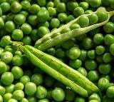 Italian scientists tailor iodine, potassium content of radishes, peas