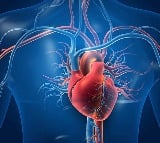 New heart treatment to help grow a replacement valve inside body