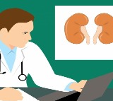 Need to educate people on kidney damage due to antibiotic misuse: Nephrologists