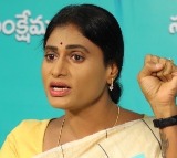 YS Sharmila lodges police complaint over 'derogatory' content against her on social media