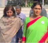 Jagan's cousin appeals to people to defeat him, support her fight for justice