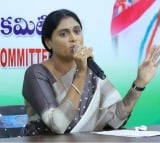 YS Sharmila Demands Explanation from Chandrababu and Pawan Kalyan: Alliance with BJP Questioned