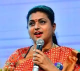 Roja faces heat from 5 mandals leaders