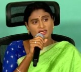 What is use of YS Avinash Reddy to Kadapa asks Sharmila