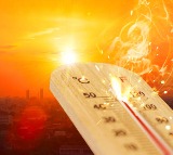 IMD issues heat wave alert for Telangana