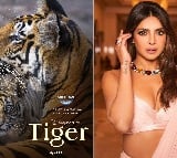 Priyanka Chopra had 'fun' exploring jungles through the film 'Tiger'