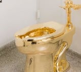 UK Man thefts Gold Toilet Worth Rs 50 Crores
