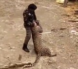 Wildlife Official Fights Off Leopard With Stick In Kashmir Village