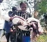 Father walk 8KM with Son Dead Body in Andhra Pradesh 