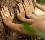 Hugging Trees For  1500 Ad By Bengaluru Company Shocks Internet