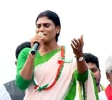 ''Who is the Tourism Minister? Roja, isn't it!": Sharmila's Comments in Araku