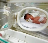 Gaza baby girl saved from Palstine dead mothers womb dies  