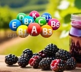 Health Benifits with Mulberry Fruits
