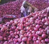 Central Government Good News to Onion Farmers