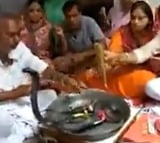family fearlessly performs puja to a black cobra