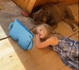 girl and her pet dog glued to screen viral video