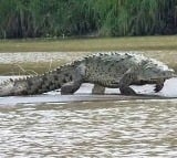 Woman throws speech disabled child into crocodile infested river in Karnataka
