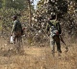 Chhattisgarh Police said that five Naxalites have been killed in an encounter in Bijapur district 