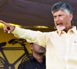 Chandrababu fires after attack on Pulivarti Nani in TDP