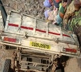 17 dead as pickup vehicle overturns in Chhattisgarh Kawardha