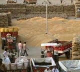 Paddy procurement to continue till last grain, says Telangana DyCM