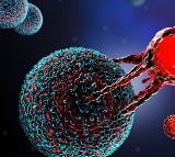 CAR T-Cell therapy revolutionised landscape of cancer treatment: Doctors