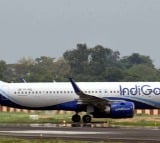 IndiGo flight delayed after crew spots overbooked passenger standing at the back
