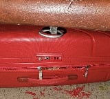 Rats Damage Suitcases on Jnaneswari Express Netizens Demand Compensation