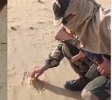 bsf jawan roasts papad in sand in rajasthan