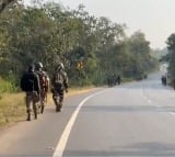 Seven maoists killed in Chhattisgarh encounter 