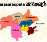 AP CEO reveals Narasaraopet Lok Sabha constituency poll data