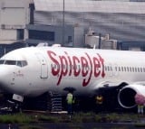 SpiceJet flight to Leh returns to Delhi after engine hit by bird